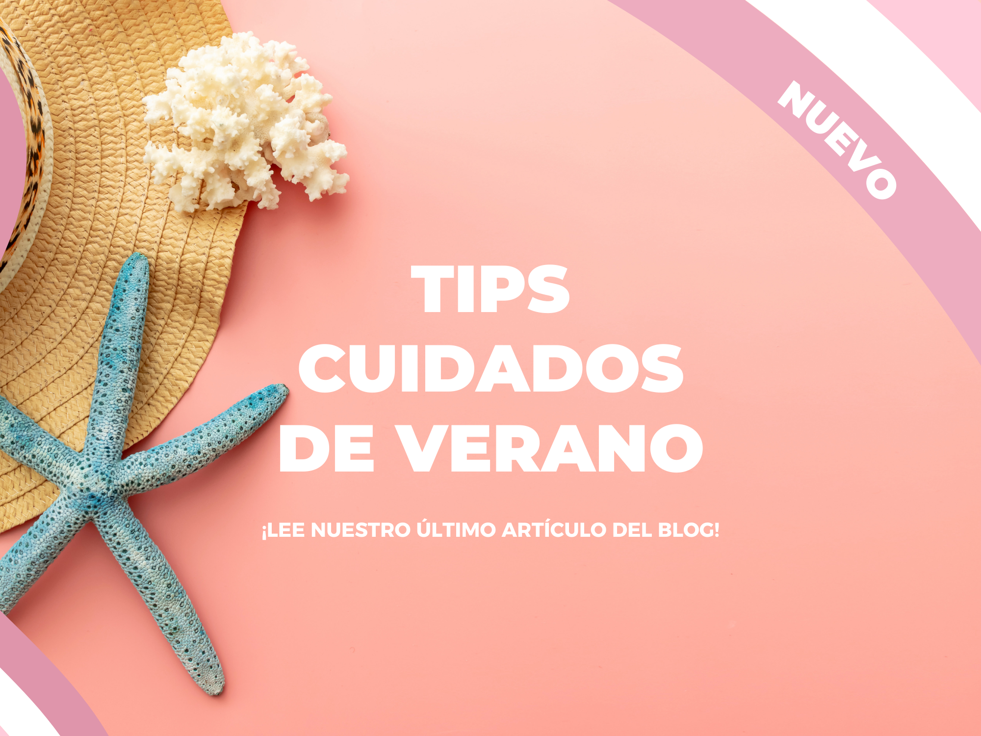 Cuidados Indispensables en Verano